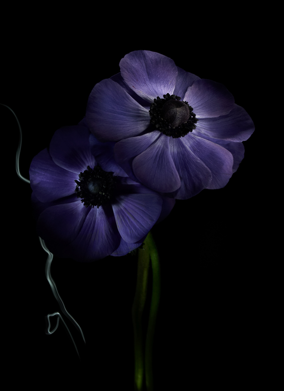 Fleur